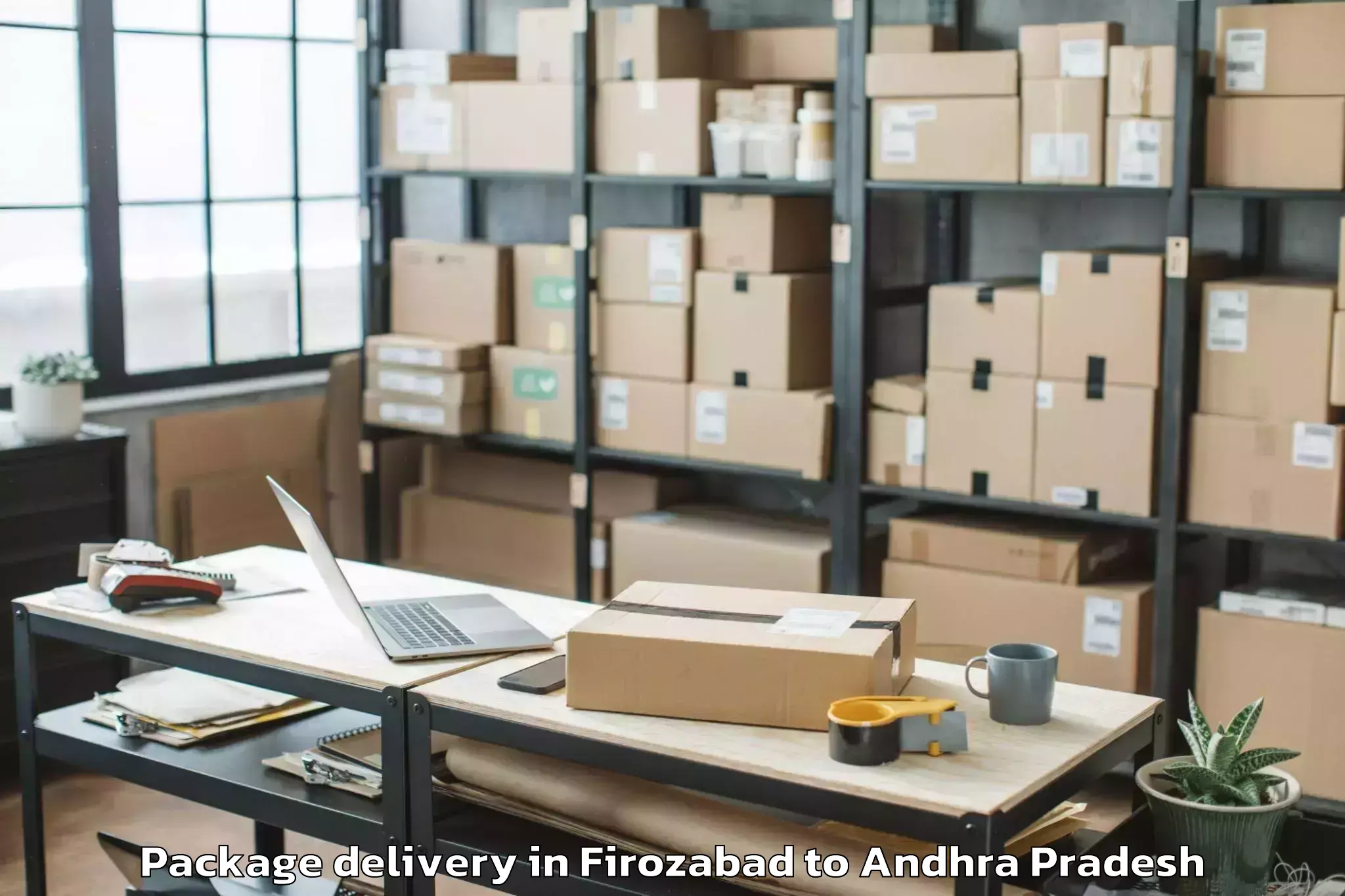 Reliable Firozabad to Naidupet Package Delivery